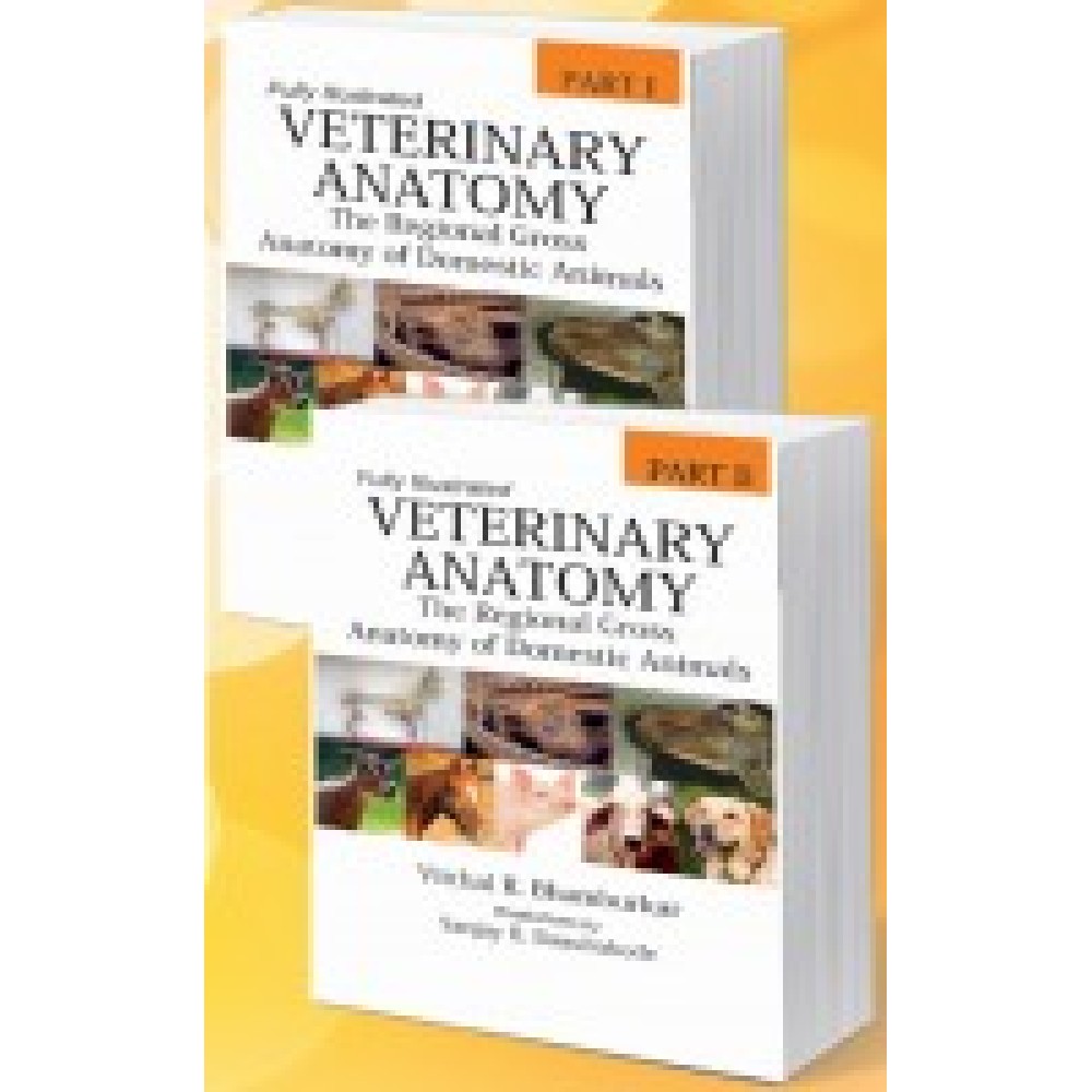 Veterinary Anatomy: The Regional Gross Anatomy of Domestic Animals: (in 2 Parts)