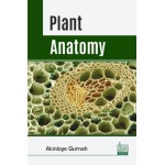 Plant Anatomy