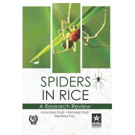 Spiders in Rice: A Research Review