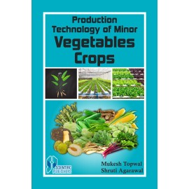 Production Technology of Minor Vegetable Crops