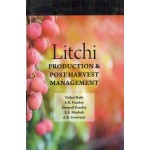 Litchi: Production and Postharvest Management