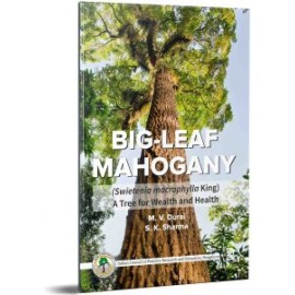 Big-Leaf Mahogany - A Tree For Wealth And Health