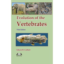 Evolution of the Vertebrates