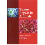 Tissue Repair in Animals