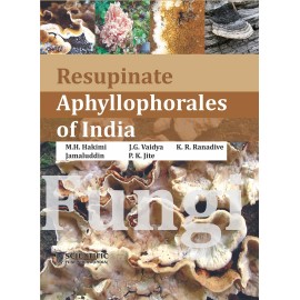 Resupinate Aphyllophorales of India