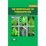 The Morphology of Pteridophytes the Structure of Ferns and Apllied Plants