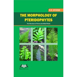 The Morphology of Pteridophytes the Structure of Ferns and Apllied Plants
